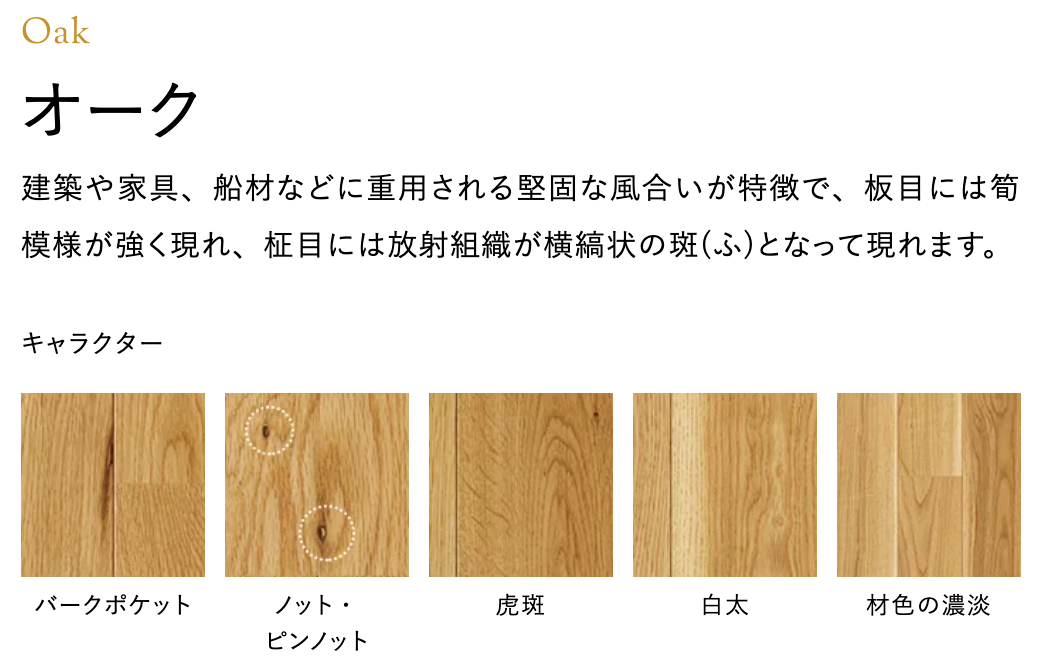 商品番号 A100210