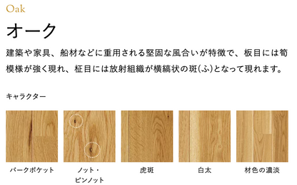 商品番号 A100210