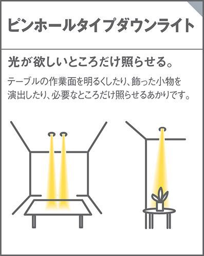 パナソニック ピンホールダウンライト LGD1039L LB1 【公式通販】